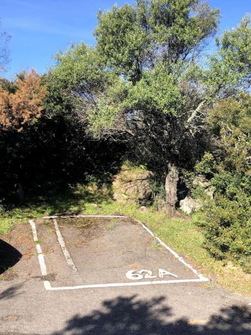 Il Nido Di Luca A Porto Rotondo Διαμέρισμα Εξωτερικό φωτογραφία